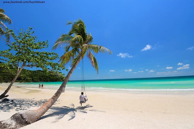 Mênh mang cát trắng dưới rặng dừa xanh. Nguồn: Facebook Hòn Móng Tay Phú Quốc