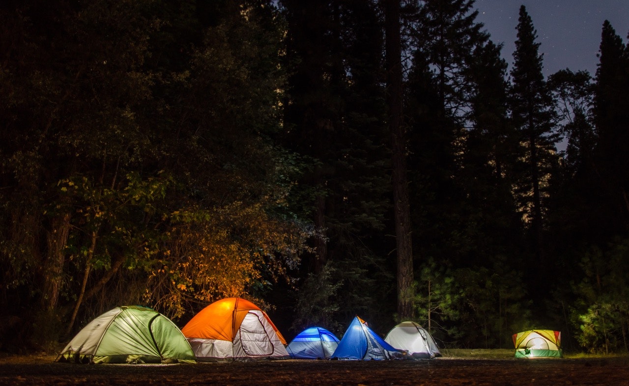 Cắm trại trong rừng là một trải nghiệm vô cùng thú vị mà bạn nên thử một lần trong đời