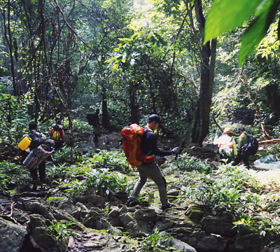 Trekking Tour (NB02) - Thám hiểm Rừng Cúc Phương