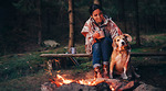 11 lời khuyên khi cắm trại với cún cưng
