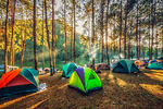 Hướng dẫn dựng lều cắm trại