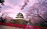 Kinh nghiệm du lịch Nhật Bản tháng 2