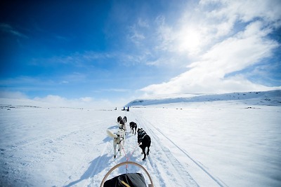 Tư vấn trang phục phù hợp cho hành trình Bắc Cực