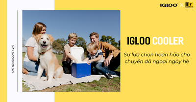 Igloo Cooler: Sự Lựa Chọn Hoàn Hảo Cho Chuyến Dã Ngoại Ngày Hè